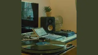 Vinyl Grooves