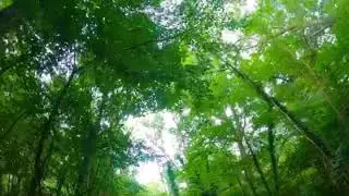 Meon Valley Trail