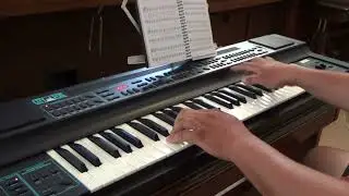 O Senhor É O Meu Pastor | Organista Bujor Florin Lucian tocando o Órgão Wersi City Fox 20