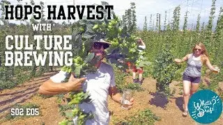 S02 E05 - Hops Harvest with Culture