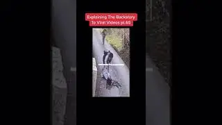 Two Crimes Caught On Camera At The Same Time?! (EXPLAINING THE BACKSTORY TO VIRAL VIDEOS)