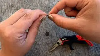 Rapala RCD PRECISION LINE SCISSORS
