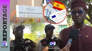 Programme de migration circulaire Espagne-Sénégal : C’est la ruée vers les BAOS