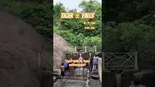 Tiger🐯falls live update #courtallam #tigerfalls #nature #update #travel #viral #trending #shorts