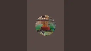 Multan Birds  is live!