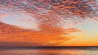 SAN DIEGO