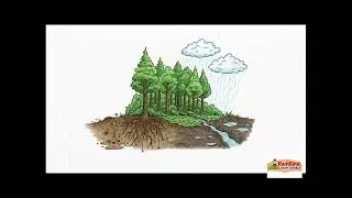 water and forest ( जल और जंगल ) chapter 1 science 7th class