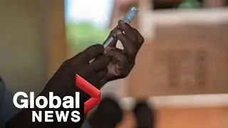 WHO recommends first-ever malaria vaccine, marking major step in fight against disease
