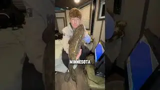 Catching the BURBOT!