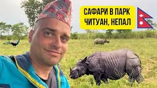 🇳🇵 Сафари в Парк Читуан, Непал 🦏