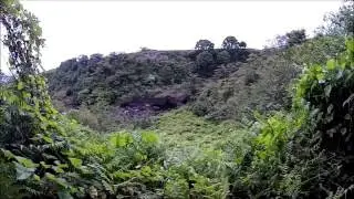 Big Island Work Trip