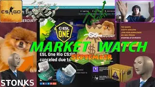 CS:GO MARKET WATCH (2020 CSGO MAJOR CANCELLED , KATOWICE + BERLIN STICKERS & CAPSULES ON THE RISE!!!