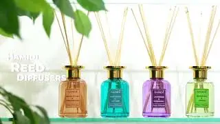 Oil Diffuser | Hamidi By Sterling | Best Home Fragrances