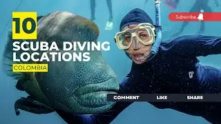 [2023] Colombia Dive Sites That Will Blow Your Mind: Our Top 10 Scuba Diving Locations