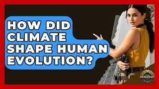 How Did Climate Shape Human Evolution? - Archaeology Quest
