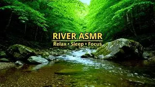 Deep Woods Stream: Authentic Nature Sounds for Meditation & Yoga