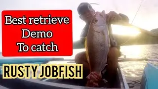Rusty JobFish favorite retrieve strike
