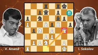 Anand's Almost Brilliancy! Anand vs. Sokolov, 1996