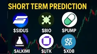 Sidus usdt 