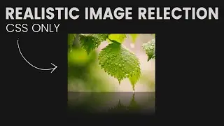 How to Make Image Reflection Effect in HTML CSS | CSS Image Reflection