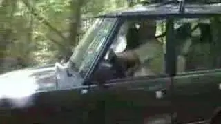 MVLRS in the woods