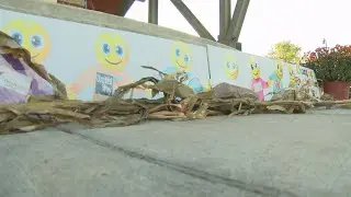 The reality of homelessness in central Wisconsin