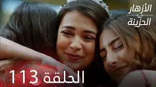 الأزهار الحزينة | الحلقة 113 كاملة - الأخيرة | Kırgın Çiçekler