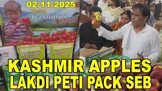 TAZAA KASHMIR APPLES AND PETI PACK WHAT ARE THE PRICES OF APPLES AT AUCTION? 02-11-2025 BIJAPUR M...