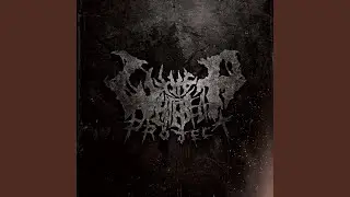 Void