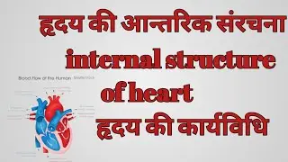 Class 10th biology मानव हृदय(Human heart) : संरचना एवं कार्यविधि(जैव प्रक्रम) 
