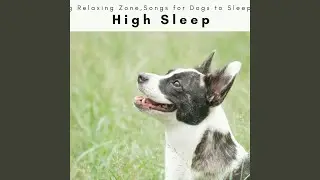 Doggie Perfect Dreams Nature Noise for Instant Dog Relax