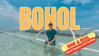 Bohol Island Hopping & Fish Feeding | RAW 4K Travel Video