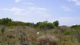 Vacant Land For Sale in Fountains, Jeffreys Bay, South Africa for ZAR R 350 000
