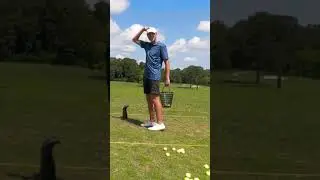 Shortest Full Swing Drive EVER! #shorts | So Pure Golf #golf #sopuregolf #golfer #doitlikebaby