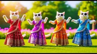 Cutest Cat videos funny dance🤣💃Videos for cats cat dance funny cats #dancingcat #cat
