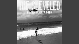 All You Never Wanted