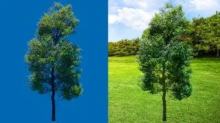 Realistic tree Green Screen || Green Screen Tree Effect || VFX