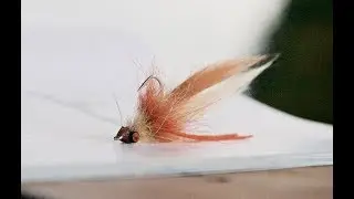 The Candy Corn Crawler Redfish Fly Tying Tutorial