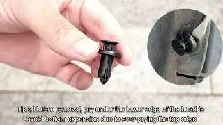 REEVAA Mud Flaps for Tesla Model 3 (Highland) | Installation Video