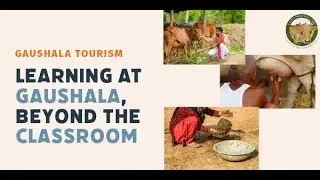 NEP 2020 in Action: School Gaushala Visits for Experiential Learning | Save Cows India