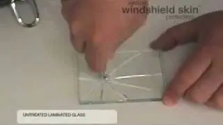 Proline Styling: Center Punch Windshield Skin