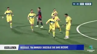 29 GENNAIO 2026  ECCELLENZA - BISCEGLIE, TRA BRINDISI E BISCEGLIE DUE GARE DECISIVE