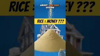 What if Rice was Money 💰😺
