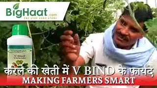 V BIND वृद्धि नियंत्रक के फायदे | Growth Regulator Field Performance | BigHaat