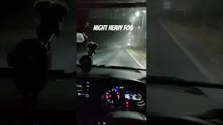 night road trip with heavy fog 🌫️😍😍#ytshorts #night #mood