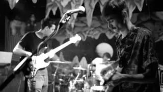 Fluid Root - Brother's Womb