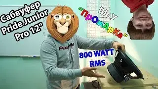 Pride Junior PRO 12 в ШОУ 