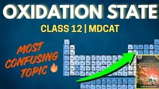 Oxidation State Group Trend | chap 1 chemistry of Representative elements | Class 12 | HA ACADEMY 