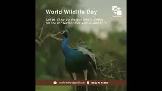 World Wildlife Day