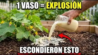 Las Verduras Crecerán De Inmediato Y Triplicarán Tu Cosecha — ¡Riega Una Sola Vez Con Esto!